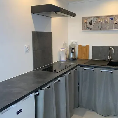 « l'anthracite ». * Montrejeau