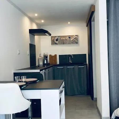 דירה L'anthracite - Vue Pyrenees Et Parking Facile מונרז'ו