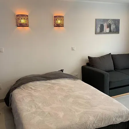 דירה L'anthracite - Vue Pyrenees Et Parking Facile *