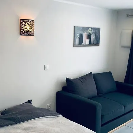 L'anthracite - Vue Pyrenees Et Parking Facile Apartament *