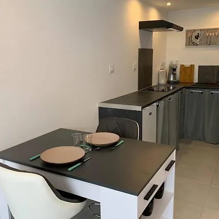 L'anthracite - Vue Pyrenees Et Parking Facile * מונרז'ו